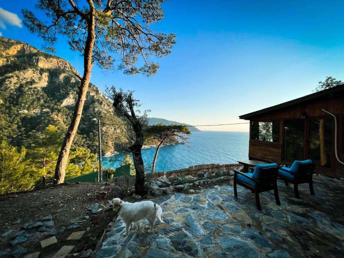 Kabak Uetopya Kamp Faralya Luaran gambar