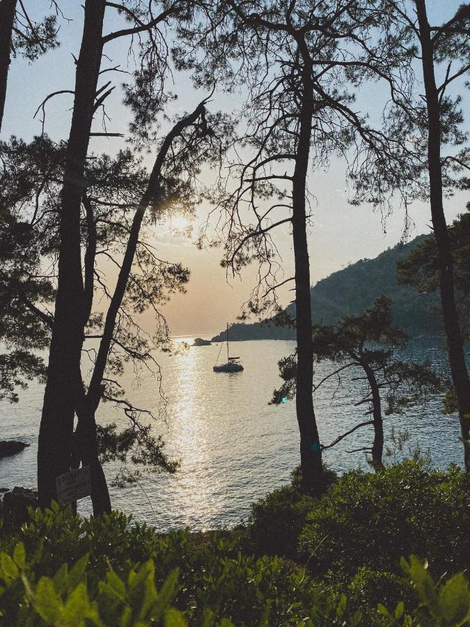 Kabak Uetopya Kamp Faralya Luaran gambar