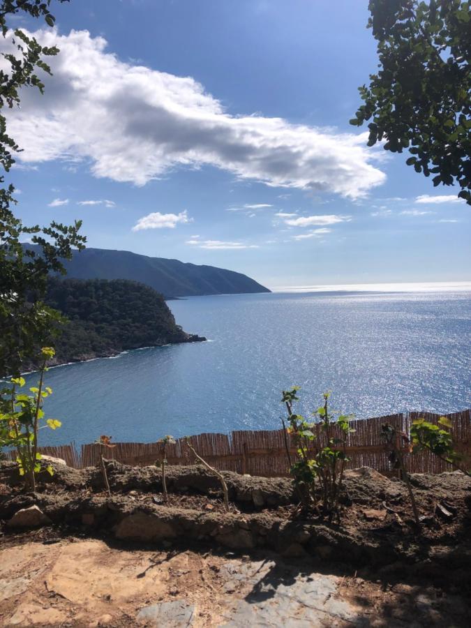Kabak Uetopya Kamp Faralya Luaran gambar